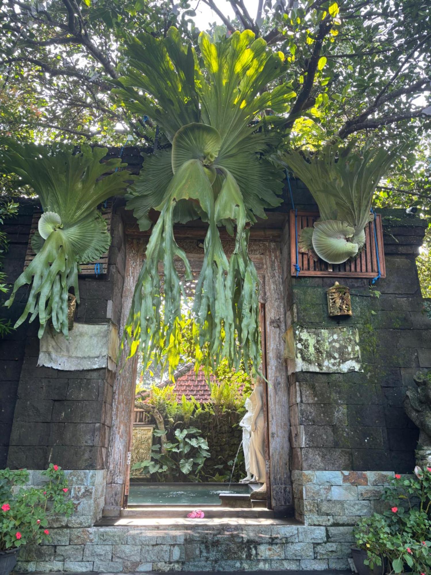 Bumbung Sari Villa Убуд Экстерьер фото