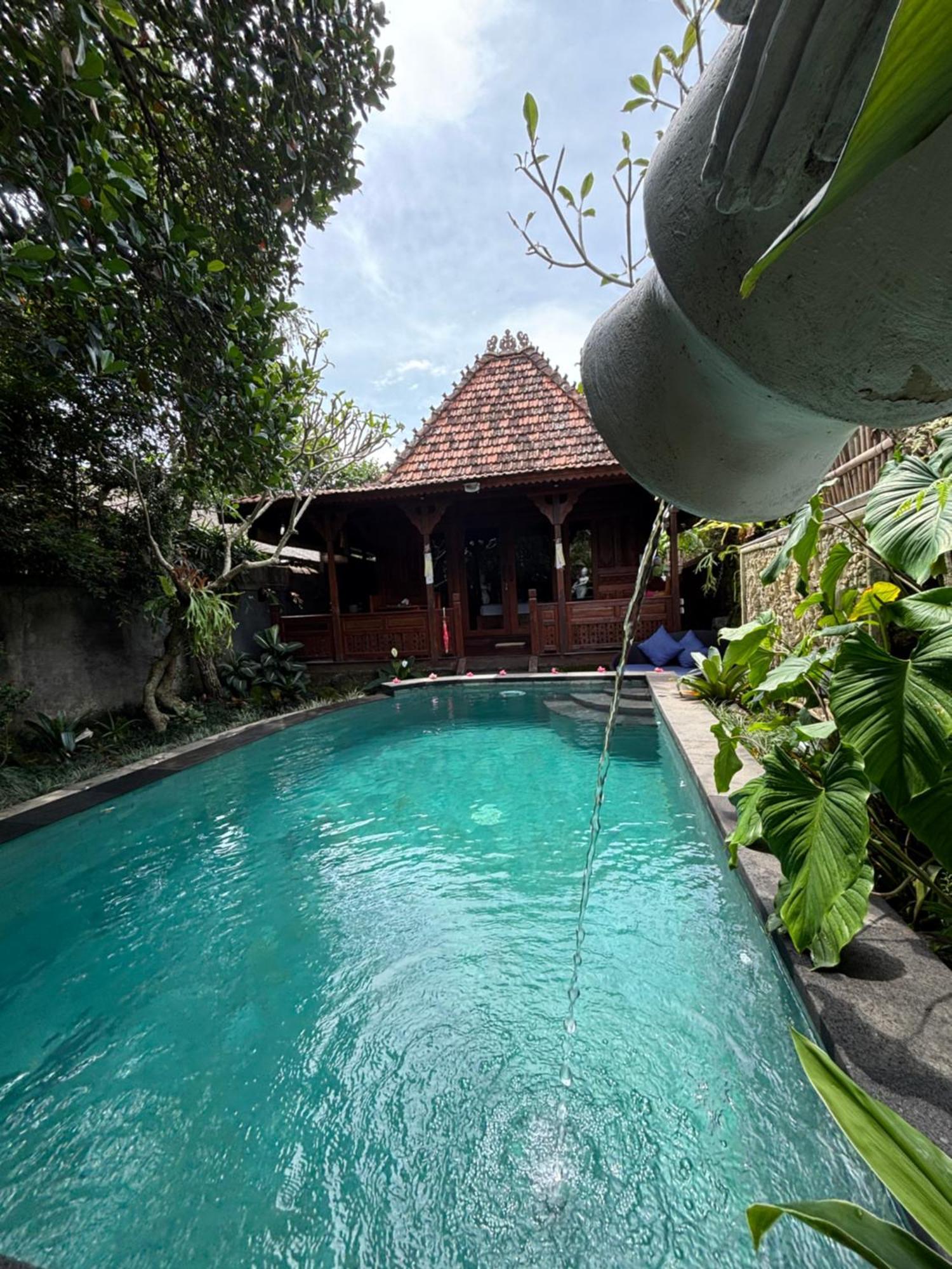 Bumbung Sari Villa Убуд Экстерьер фото
